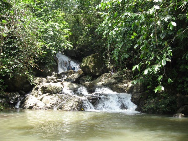 Discover Hidden Waterfalls on Viti Levu